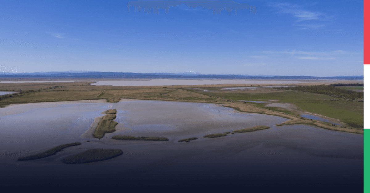 A Fertő tó mindenkié! - Támogatom a tó védelmét